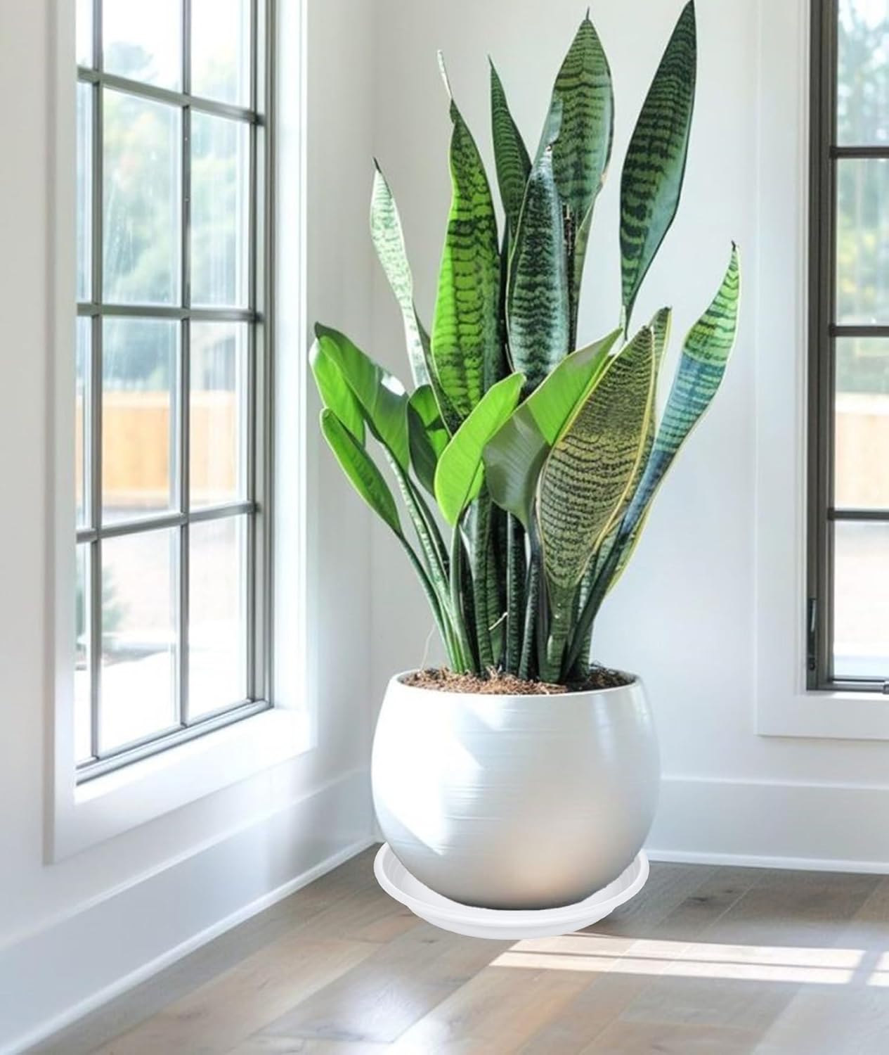 2 Pack of 16 inch Plant Saucer, Large Plant Tray, Heavy Sturdy Plant Drainage Tray for Indoors, Bird Bath Bowls, Sturdy Plastic Pot Tray for Planter (White)