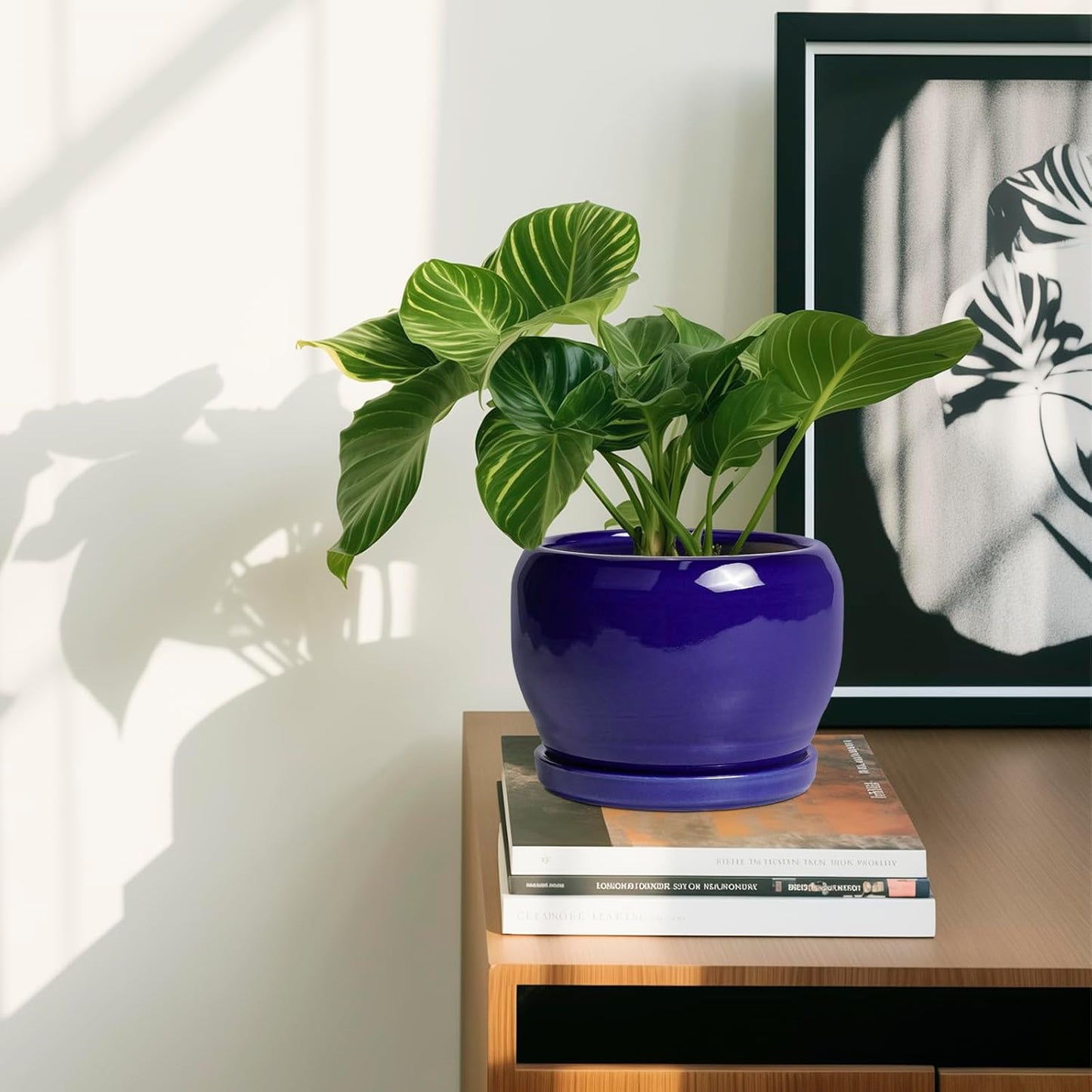 SQOWL Ceramic Planters for Indoor Plants - 6 Inch Plant Pot with Drainage Hole and Saucer, Round Small Planter, Modern Decorative Flower Pot Outdoor, Living Room Decor, Garden Gifts for Women, Blue