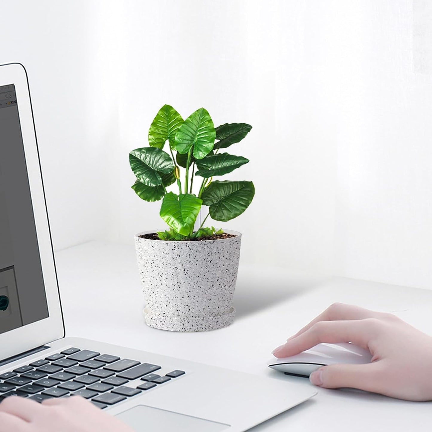 6 Inch Plant Pots Bulk, 6 Pack Plastic Planters with Drainage Holes and Saucers for Indoor Outdoor House Plants and Flowers,White Spots