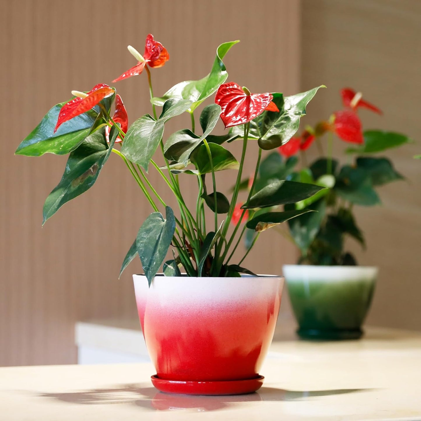 Worth Garden Plastic Round 8" Plant Pots - Set of 6 Multicolor Small Gloss Flower Pot Planters with Drainage Hole and Saucer - Home Decorative Christmas Containers