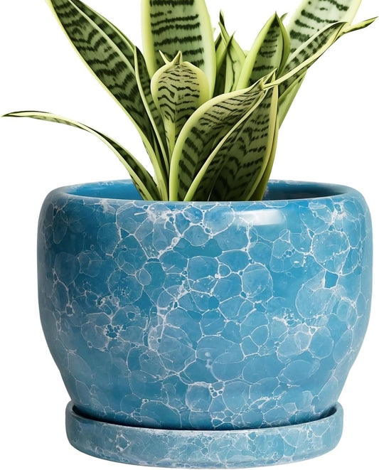 SQOWL 6 Inch Plant Pot - Ceramic Indoor Planter with Drainage Hole and Saucer, Decorative Ceramic Flower Pot Outdoor, Round Succulent Planter, Home Office Room Decor, Gifts for Plant Lovers, Blue