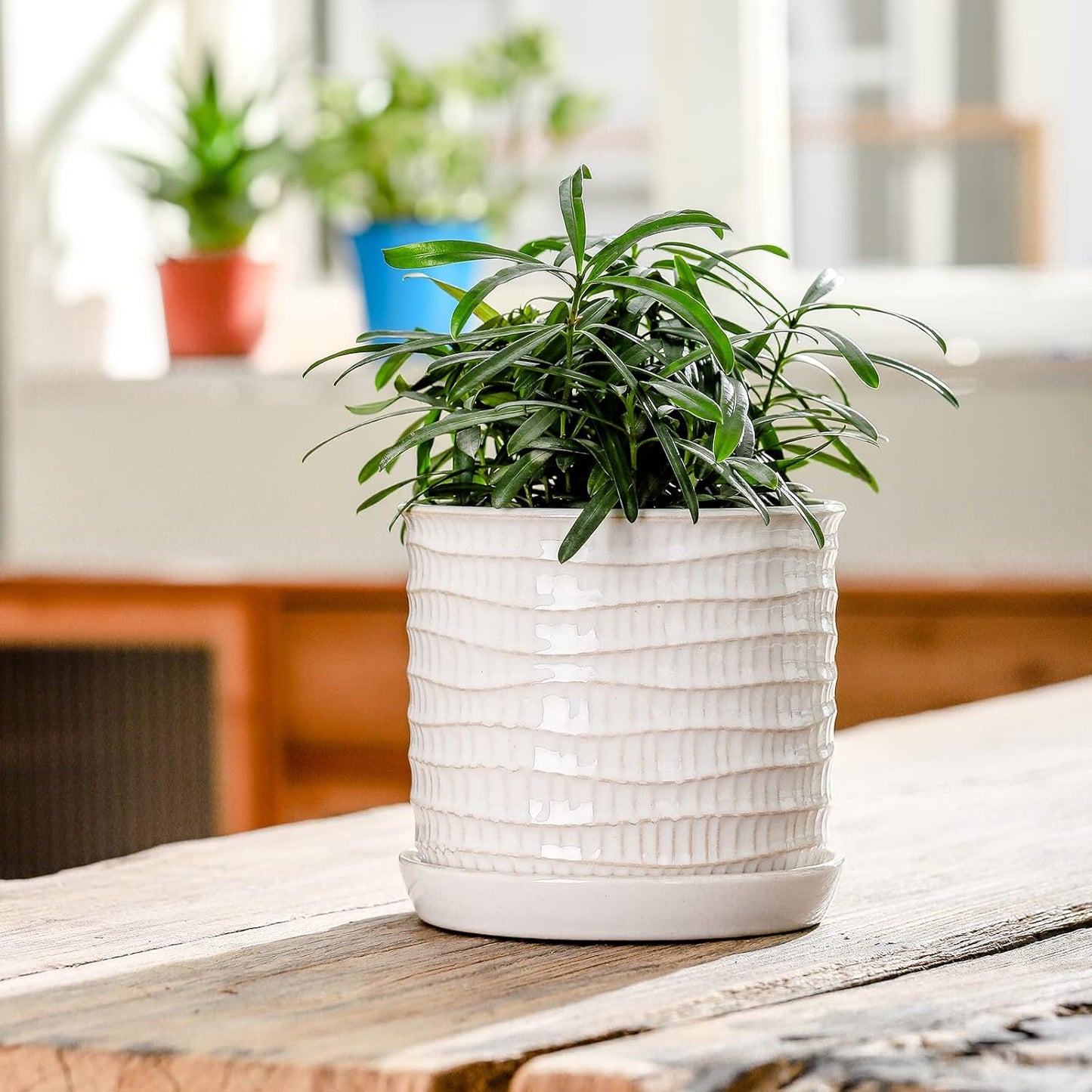 5.8 Inch Plant Pot: Ceramic Planter with Drainage Hole & Saucer for Indoor Outdoor Plants - Flowerpot with Bonded Tray for Home Office - Wave Embossed