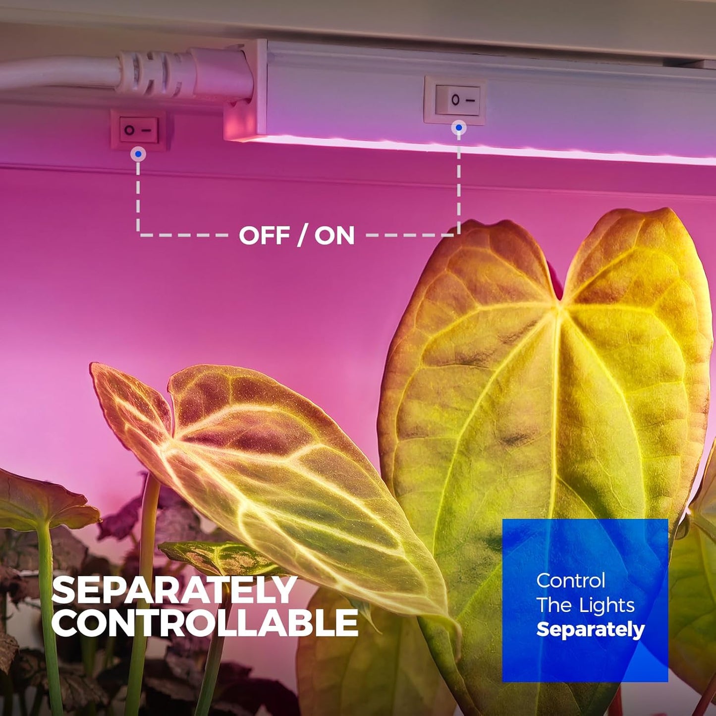 Barrina T5 Grow Lights, Full Spectrum, 2ft 80W (8 x 10W, 500W Equivalent), LED Grow Light Bulbs, Plant Lights for Indoor Plants, Greenhouse, Plug and Play, Pink, 8-Pack