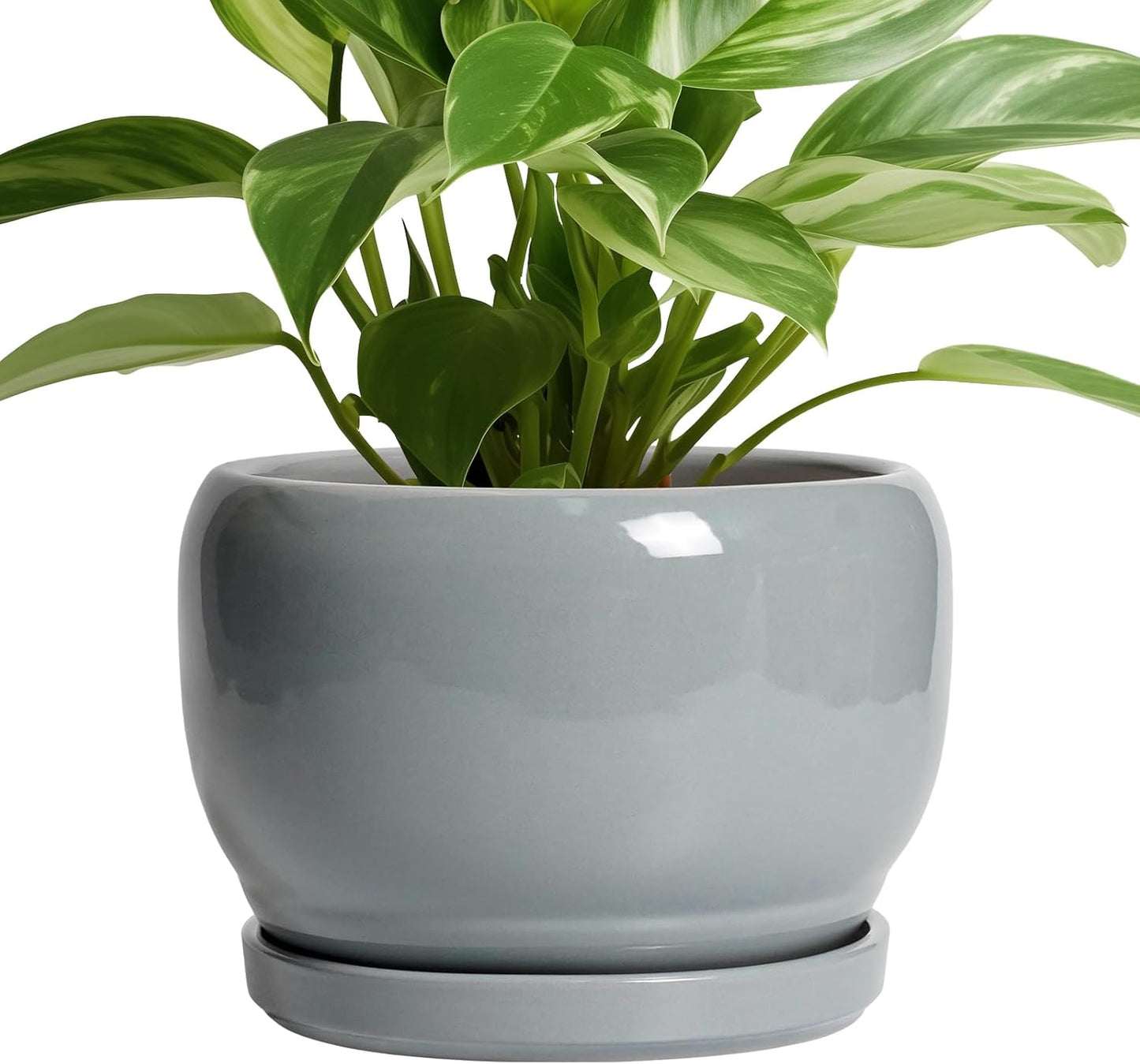 SQOWL Ceramic Pot for Plants - 8 Inch Plant Pot Indoor with Drainage Hole and Saucer, Round Planter Outdoor, Decorative Modern Planter for Flower, Bedroom Decor, Plant Lovers Gifts, Gray