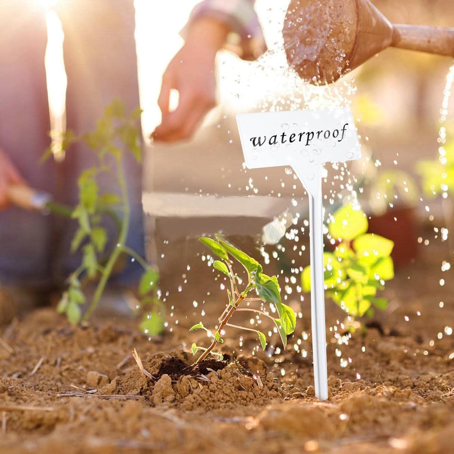 White 30 Pack Outdoor Tall Plant Label, Large Waterproof Plastic Plant T-Type Tags, Durable Nursery Garden Markers, Perfect for Herbs, Flowers, Vegetable with Marking Pen (Height 11.8'')