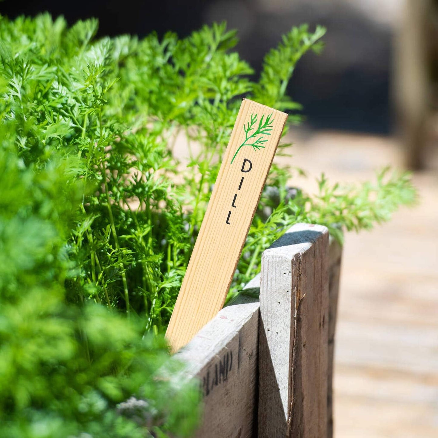 Huray Rayho 12PCS Wooden Indoor Herb Plant Labels Signs - Assorted Indoor Garden Stakes - Re-Usable Plant Tags