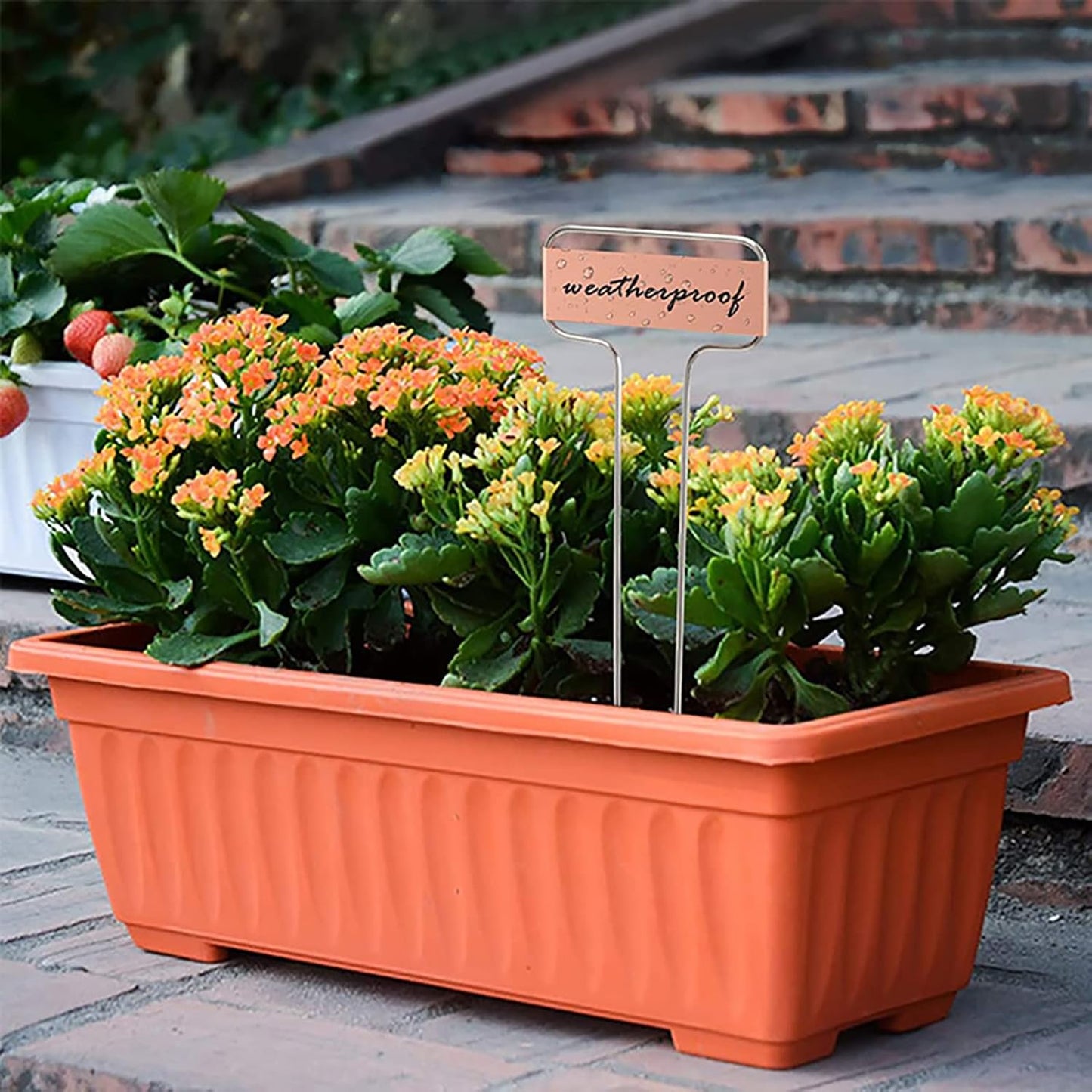 Foraineam 30 Pack 10 Inch High Copper Plate Metal Plant Labels Garden Stake Tags Reusable Planting Gardening Markers