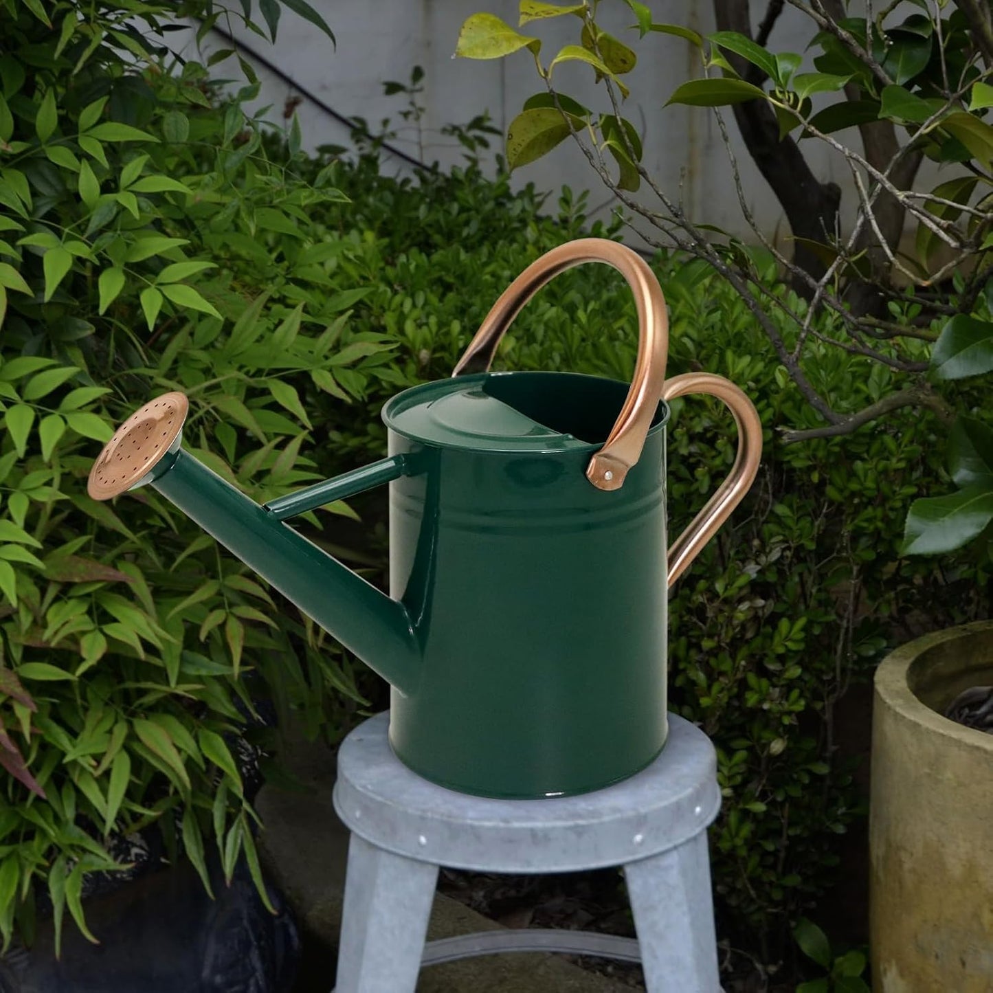 Metal Watering Can with Removable Spout, Galvanized Watering Can, Perfect for Indoor Use and for Outdoor Use (1 Gallaon, Green)