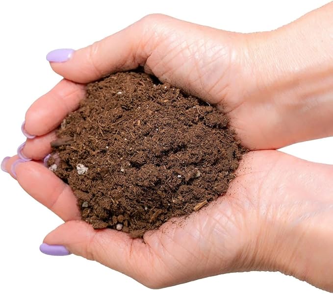 Premium Pothos Potting Soil Mix - Air Cleaning Plant Potting Mix, Soil Mix for Pothos, Parlor Palm, Peace Lily - (3 Quart Bag)