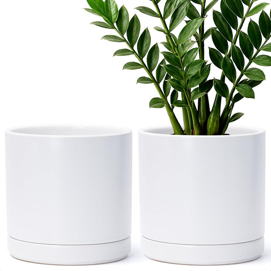 D'vine Dev Set of 2 Plants Pots, 8.2 Inch Ceramic Planter Pot for Plants with Drainage Hole and Saucer, White, 94-V-D-1