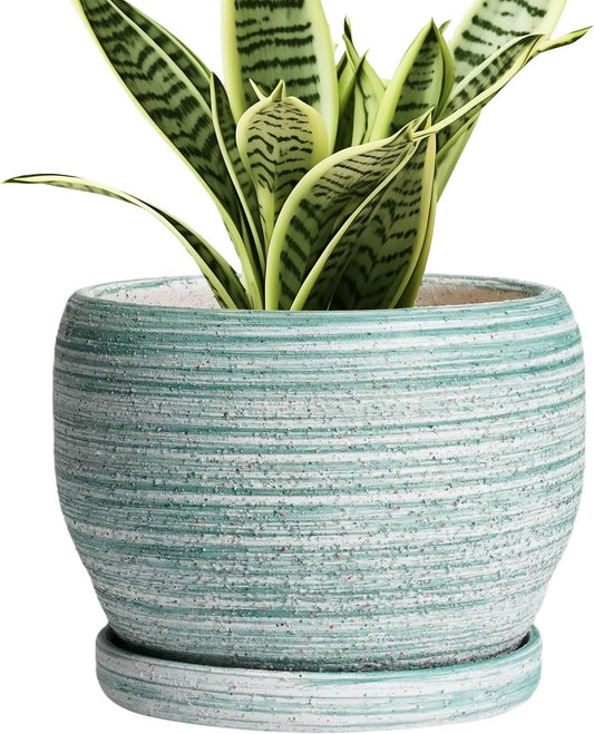SQOWL Ceramic Plant Pots - 6 Inch Planter with Drainage Hole and Tray, Round Flower Pot for Indoor Plants, Decorative Succulent Planter Outdoor, Home House Decor, Gifts for Women Men, Green