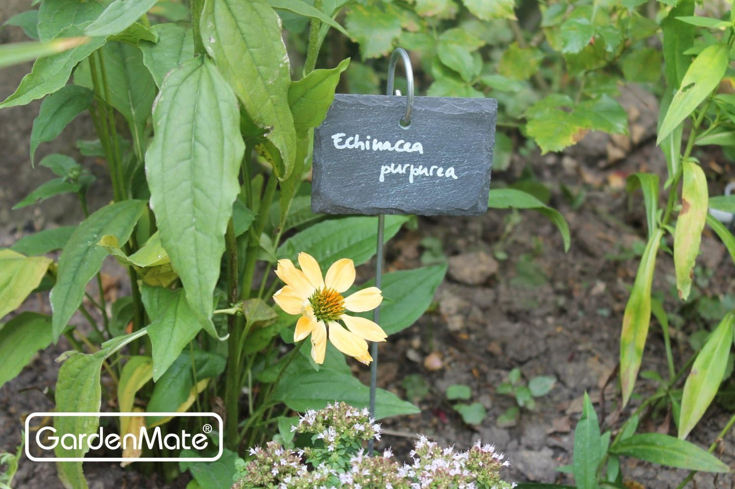 GardenMate 5-Pack Natural Style Slate Plant Labels (4"x 2 3/4") Hanging from a Stainless Steel Metal Rod (17")