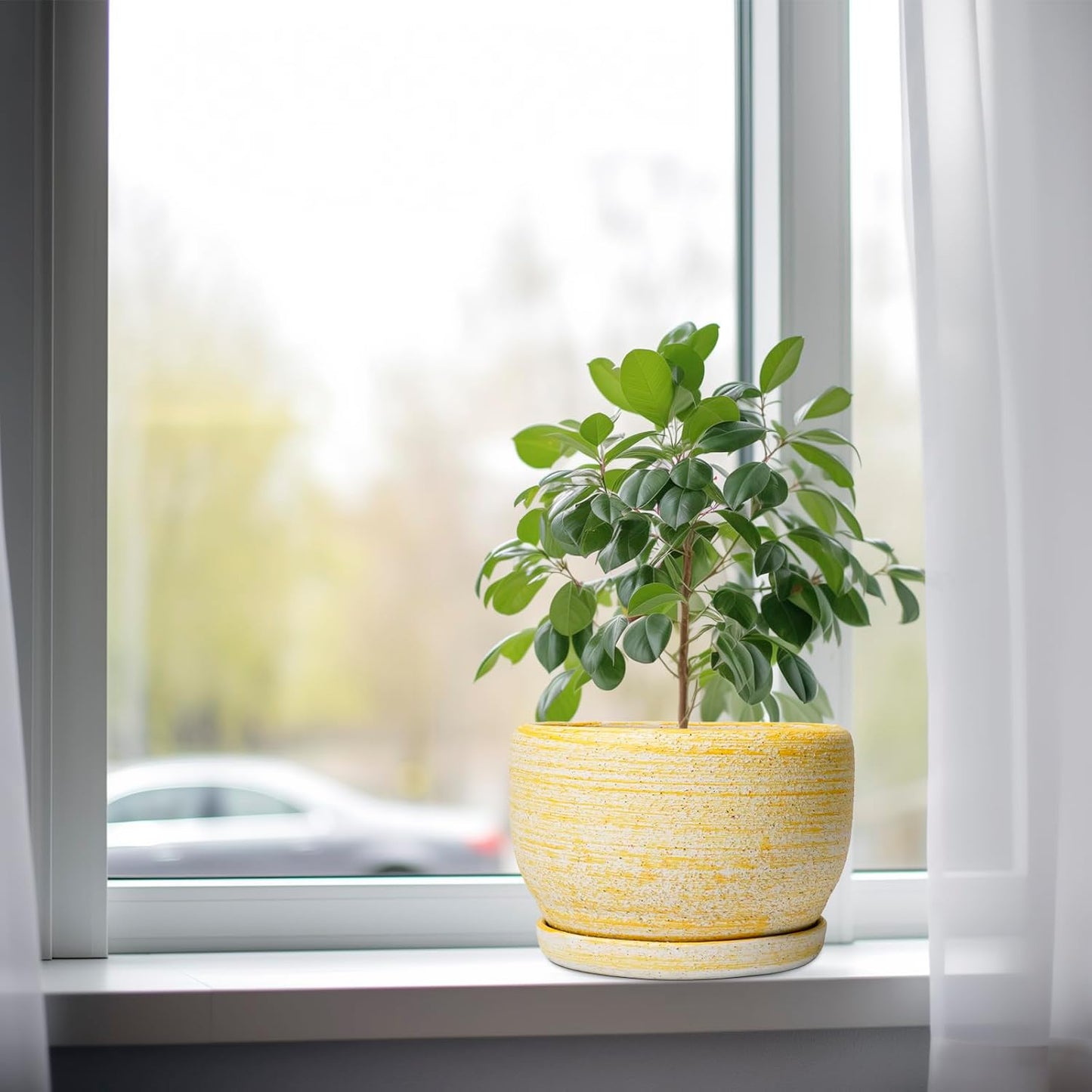 SQOWL Ceramic Flower Pots - 8 inch Plant Pot Indoor with Drainage Hole and Saucer, Modern Ceramic Planter Outdoor, Round Decorative Planter, Living Room Home Decor, Gifts for Plant Lovers, Yellow