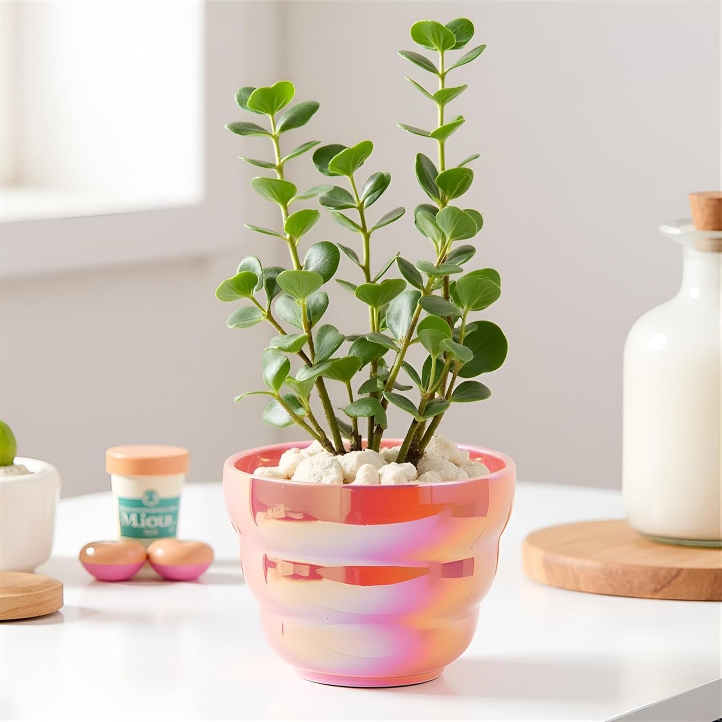 Pots for Indoor Plants, Rainbow Pearl Glaze Planters 2 Pieces with Drainage Hole, 6 Inch Round Modern Garden Pots for Flower Snakes Succulents, White and Pink