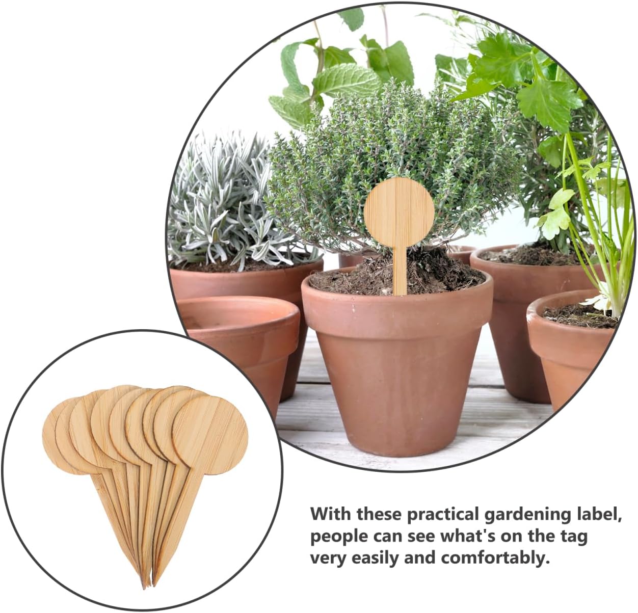 VICASKY 20Pcs Miniature Wooden Plant Labels - Round Head Garden Markers for Flowers, Herbs & Potted Plants, Indoor & Outdoor Decor (3.93 x 1.57 Inch, Wooden Sign Tags)