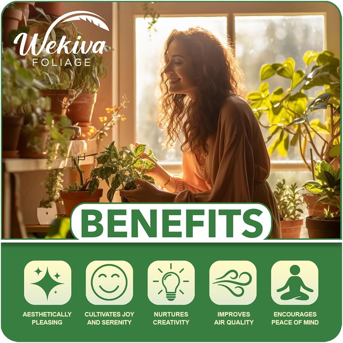 Magnolia Fig Tree - 4 Live Starter Plants - Ficus Carica - Edible Fruit Tree for The Patio and Garden