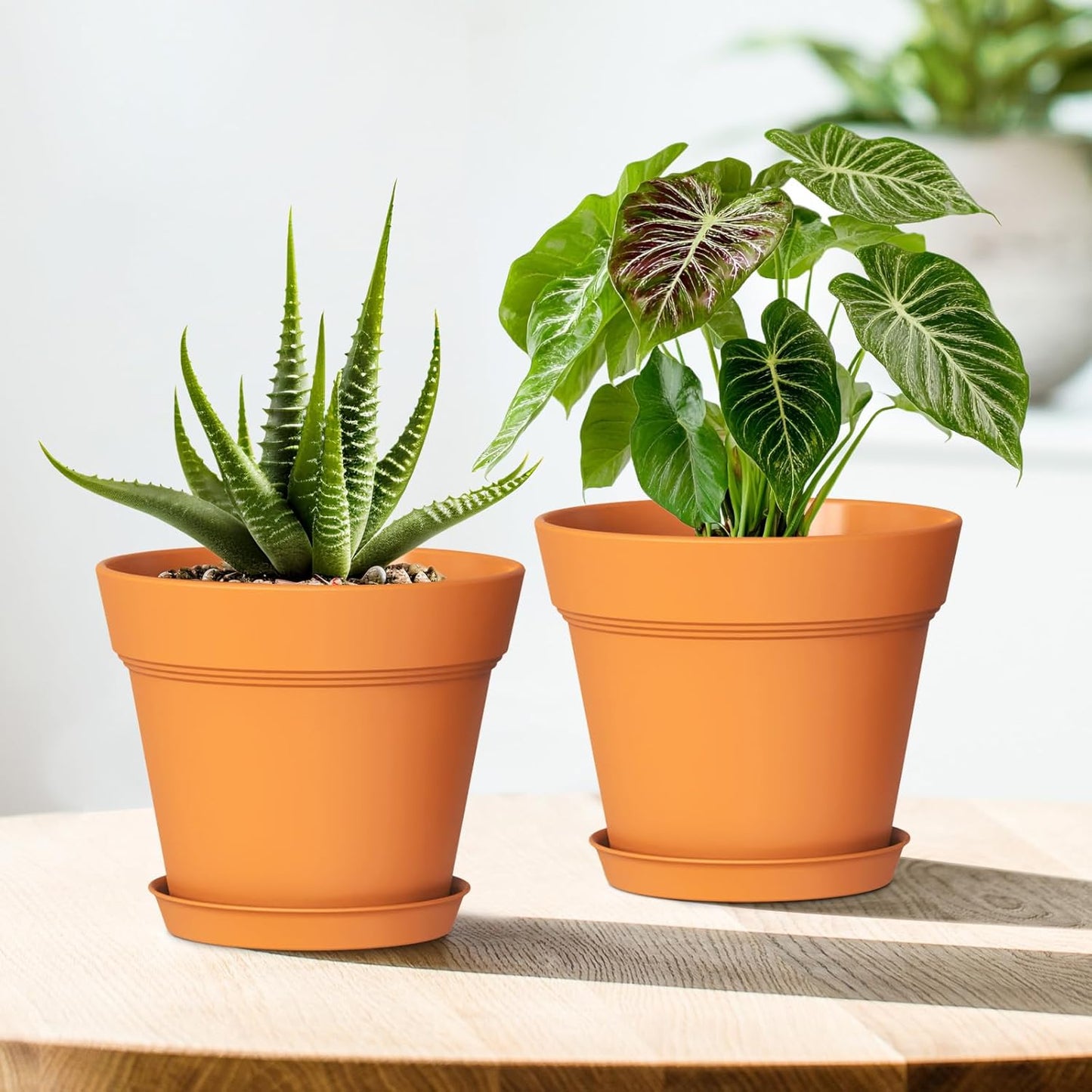 4 Inch Plastic Plant Pots with Drainage Holes and Trays – 8 Pack Small Nursery Pots for Indoor & Outdoor House Plants and Flowers, Seedling Starter Planters, Terracotta