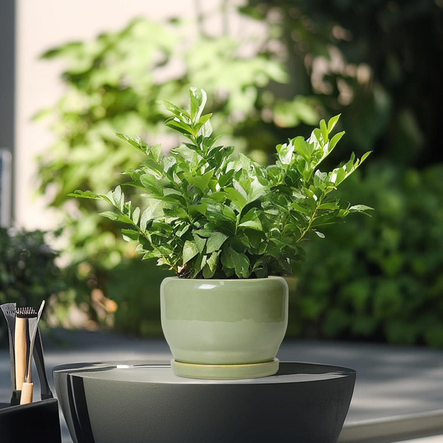 SQOWL Ceramic Pot for Plants - 6 Inch Planter for Indoor Outdoor Plants, Round Decorative Flower Pot with Drainage Hole and Saucer, Modern Small Planter, Patio Decor, Garden Gifts, Green