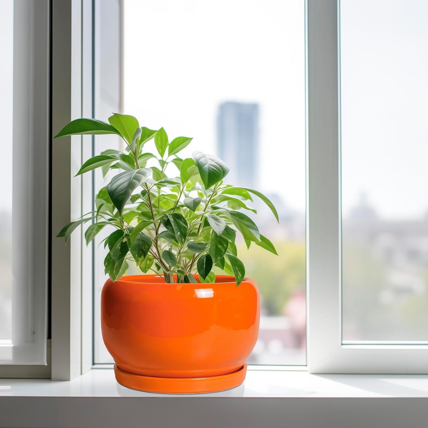 SQOWL Ceramic Planter - 10 Inch Plant Pot with Drainage Hole and Saucer, Round Modern Planter for Indoor Outdoor Plants, Decorative Large Flower Pot, House Decor, Gifts for Women Men, Orange