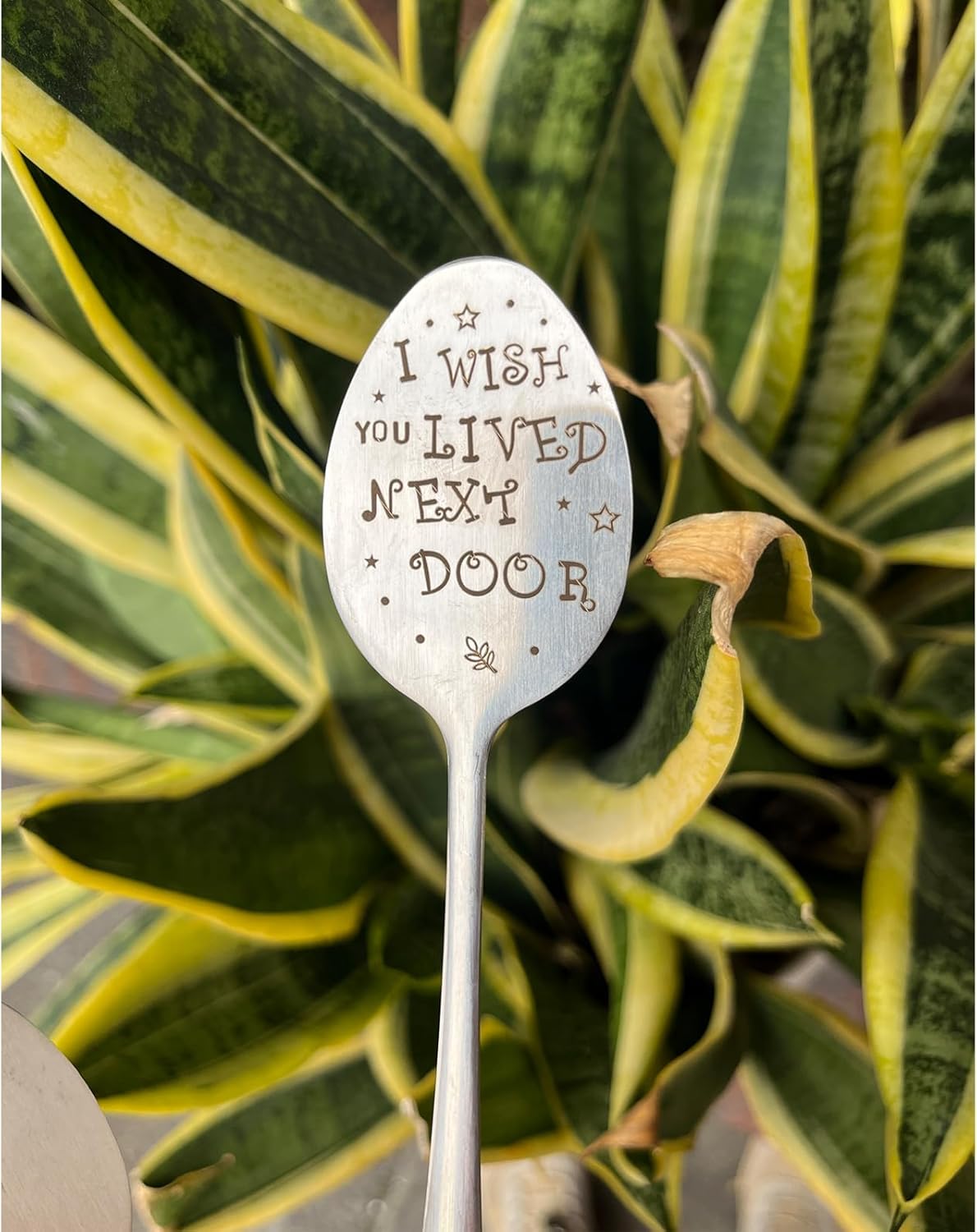 Garden Friendship Gift for Women Gardeners, Plant Marker Stake Label Sign Tag, Gardening Gifts for Woman Lovers, Metal Garden Decoration (Live Next Door)