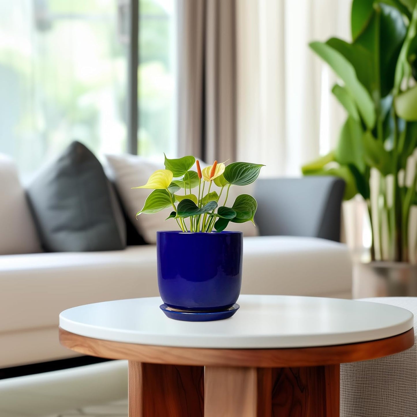 Succulent Pot 5 Inch - Modern Ceramic Planter for Indoor Plants with Drainage Hole and Saucer, Office Home Room Patio Decor, Blue