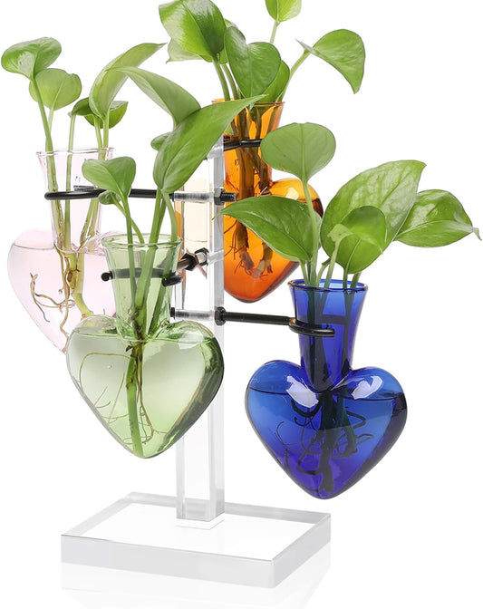 Clear Plants Propagation Stations Terrarium Kit Birthday Gift for Women for Indoor Home Office Decor Acrylic Plant Accessories - 4 Love Hear Vase