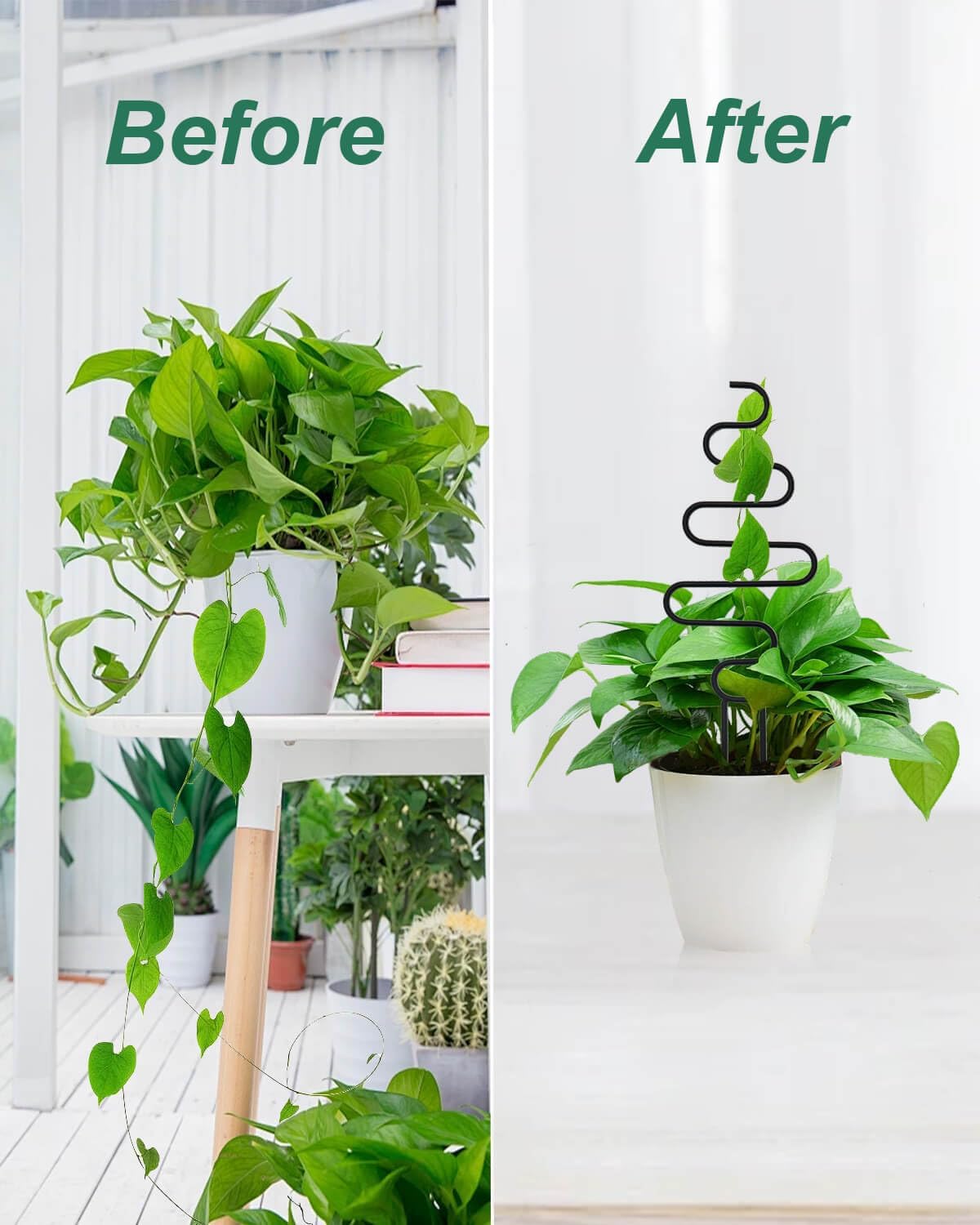 Small Plant Trellis for Climbing Plants Indoor - 13.8 Inch Trellis Indoor with Different Patterns for Vine Ivy Flower Plant Support, Metal Garden Trellis for Potted Plants, Set of 4 (Black)