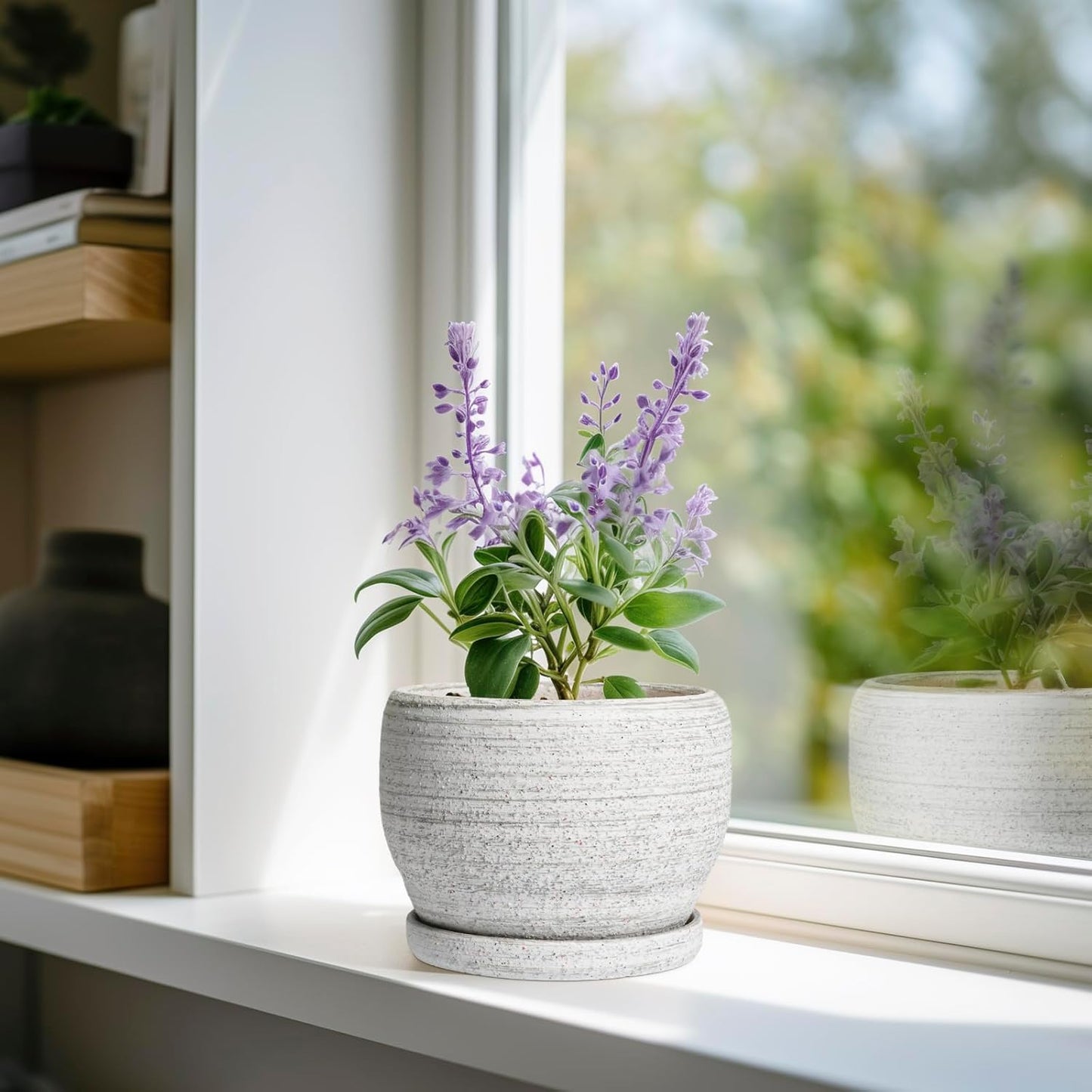 SQOWL Ceramic Planters for Indoor Plants - 6 Inch Plant Pot with Drainage Hole and Saucer, Small Ceramic Flower Pot, Round Decorative Planter Outdoor, Living Room Decor, Garden Gifts for Women, Gray