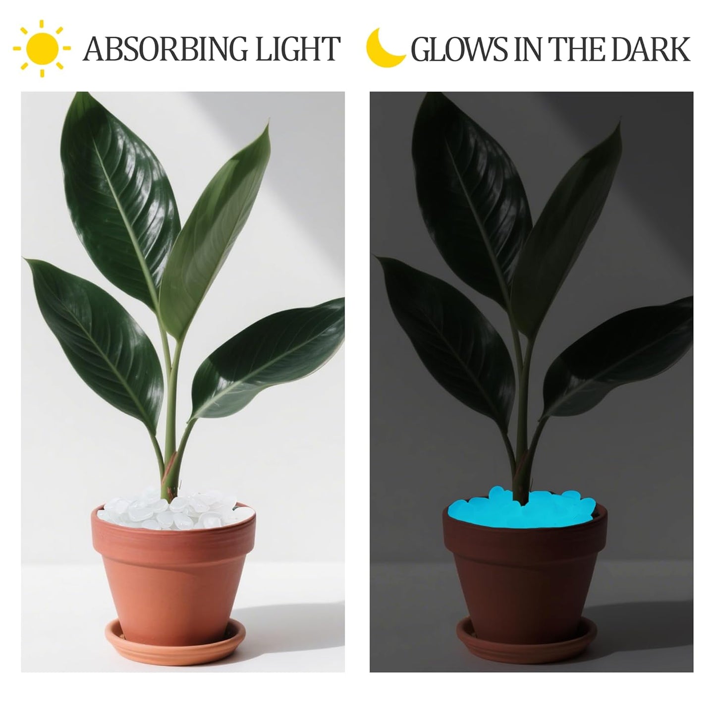 2.1LB 25-27mm White Glow in The Dark Rocks Outdoor Decorative Stones Luminous Pebbles Glow Stones for Patio Landscaping Walkway Driveway Large Glowing Stones Garden Stones(300pcs)