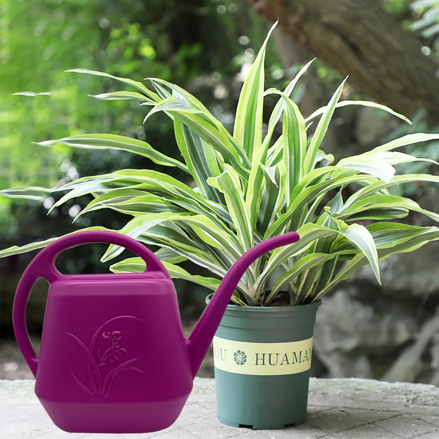 Plant Watering Can - 1 Gallon - Rose Red - with Long Spout for Indoor and Outdoor Plant Garden