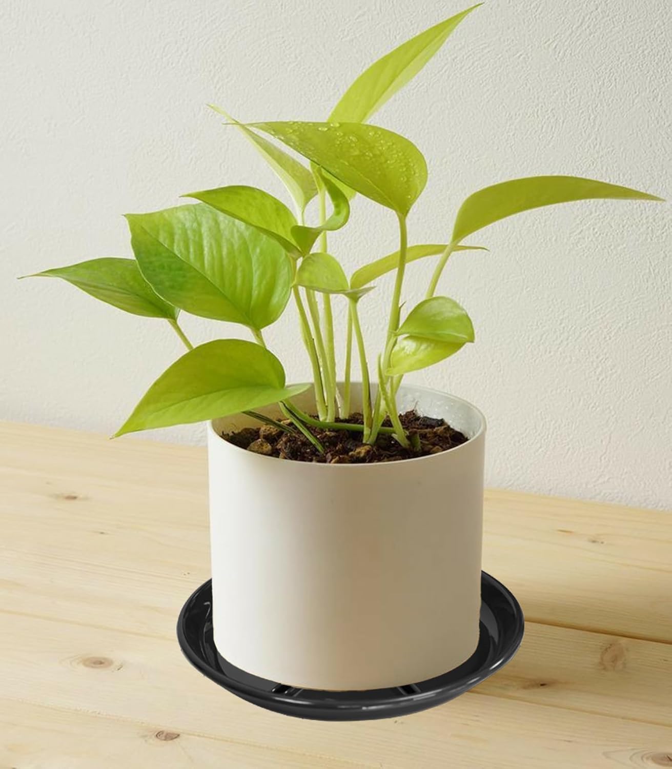 6 Pack of Plant Saucer 8 inch, Plastic Trays for Plants, Plant Drip Trays for Indoors Outdoor, Plant Water Tray for Planters, Black