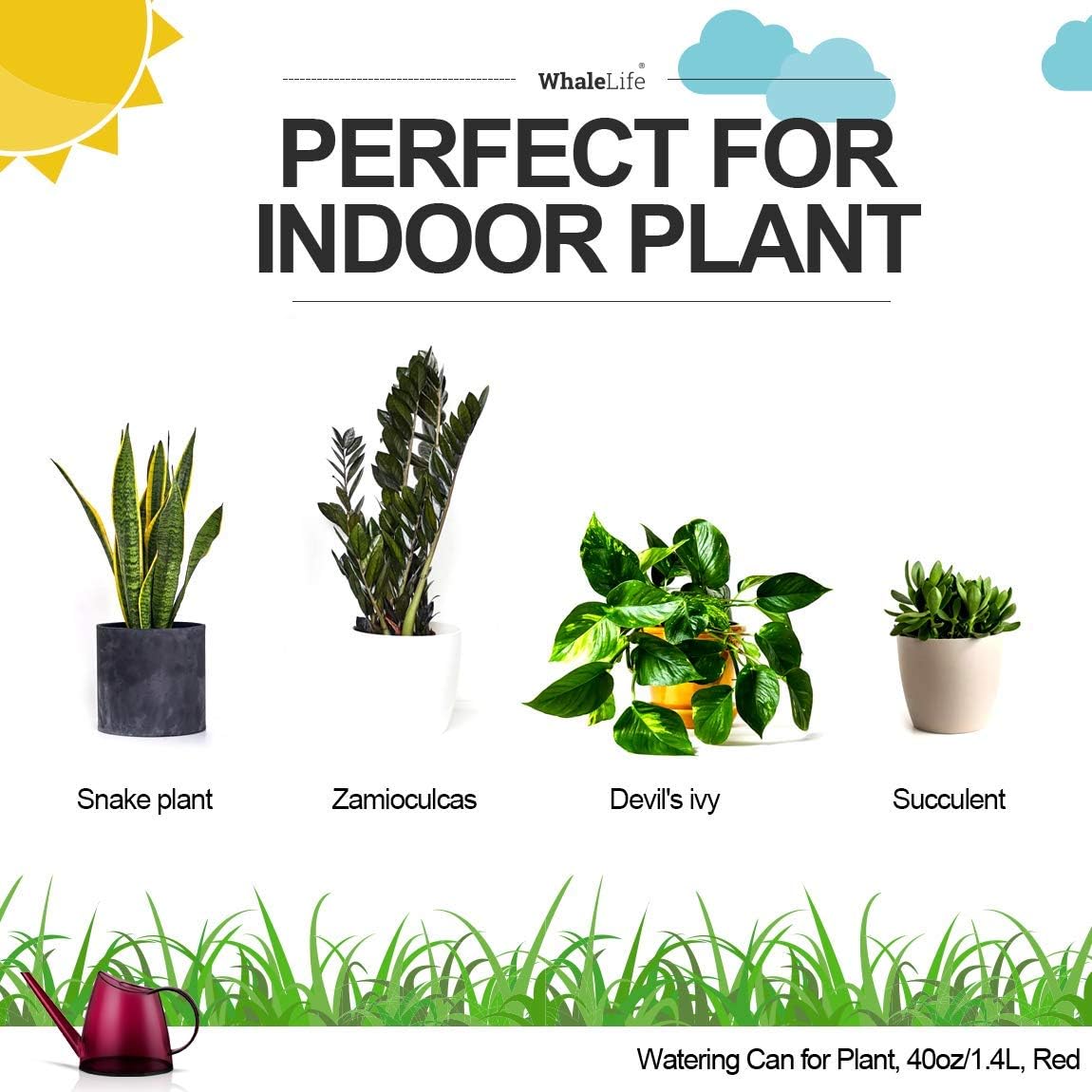 WhaleLife Indoor Watering Can for House Bonsai Plants (1.4L, Red)