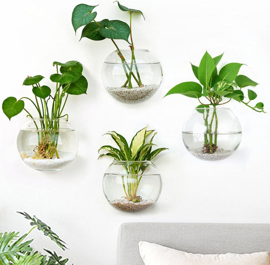 DomeStar 4PCS Wall Vases, Wall Mounted Hanging Glass Vases Clear Planter Terrarium Station for Hydroponics Plants Propagation Home Office Living Room Decor