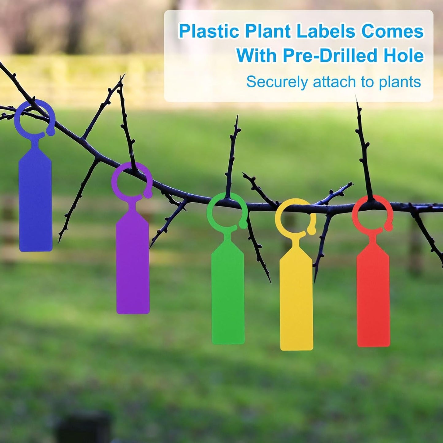 uxcell Waterproof Plastic Plant Labels, 100 Pcs 4.3 Inch Plant Hanging Labels, Color Hanging Plant Markers for Indoor Plants,Outdoor,Garden and Greenhouse (Red)