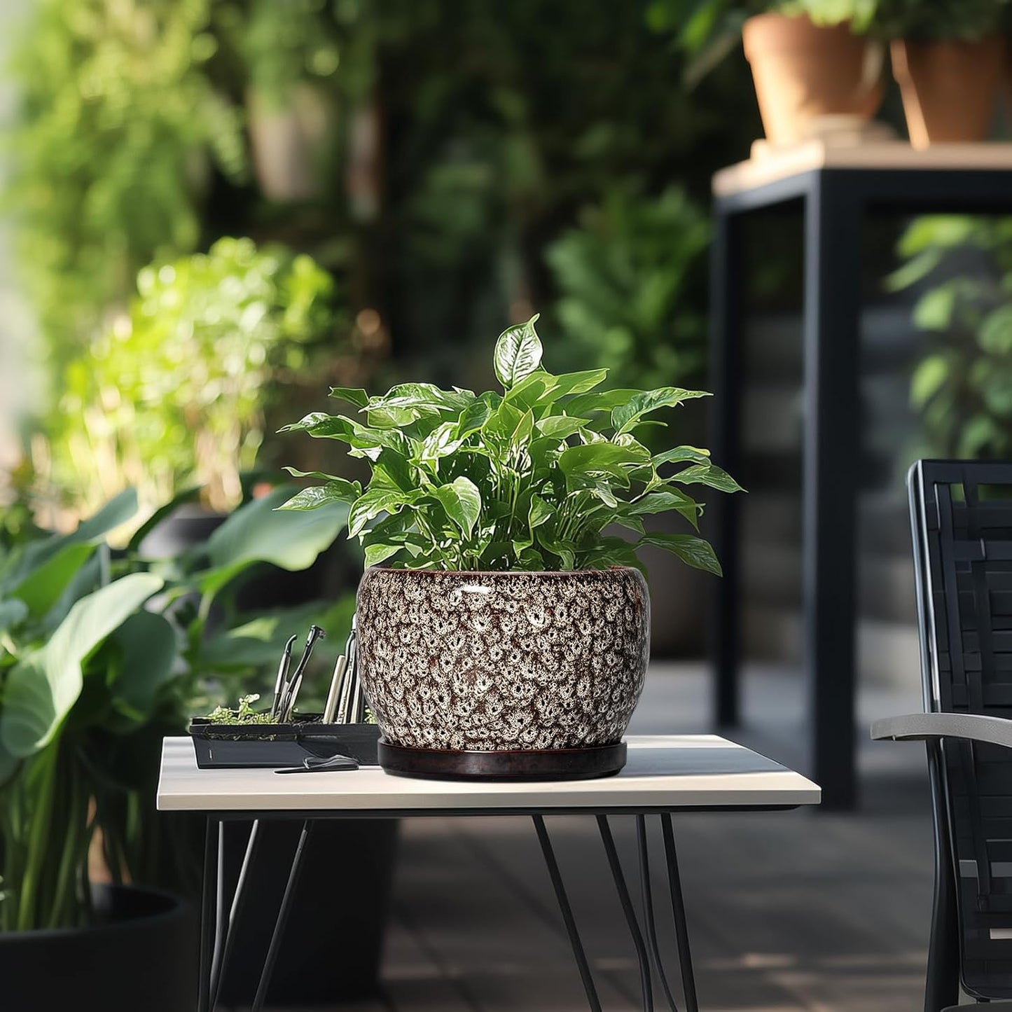 SQOWL Ceramic Planter - 8 inch Plant Pot Indoor with Drainage Hole and Plant Saucer, Round Ceramic Flower Pots Outdoor, Decorative Modern Planter, Office Kitchen Decor, Gifts for Women Men, White