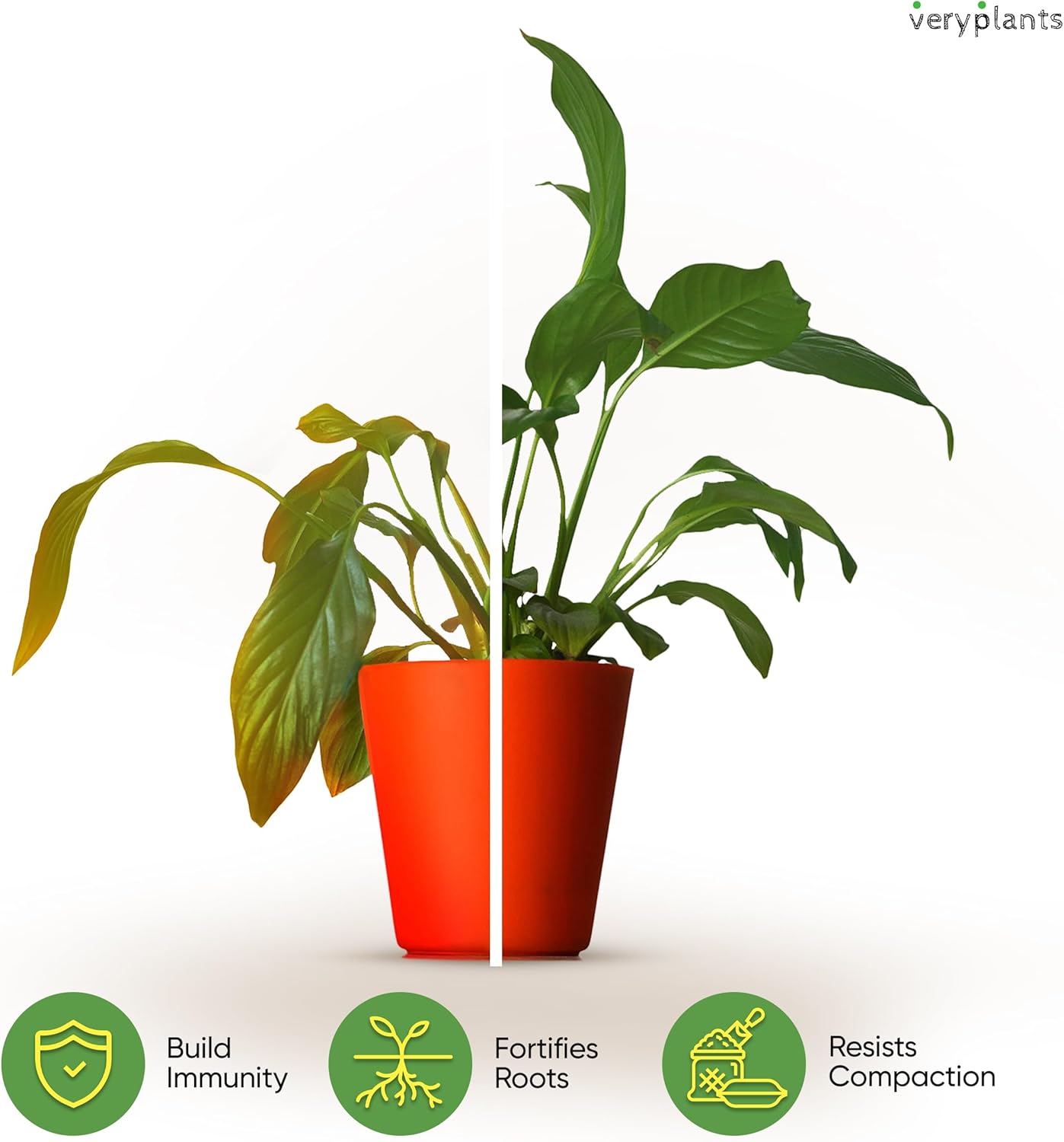 Molly's Aroid Mix - Premium Soilless Potting Mix for Houseplants - Fast Draining, Chunky & Easier to Water vs. Soil for Indoor Plants - with Bark, Coco Chips, Worm Castings, Mycorrhizae 5 Dry Quarts