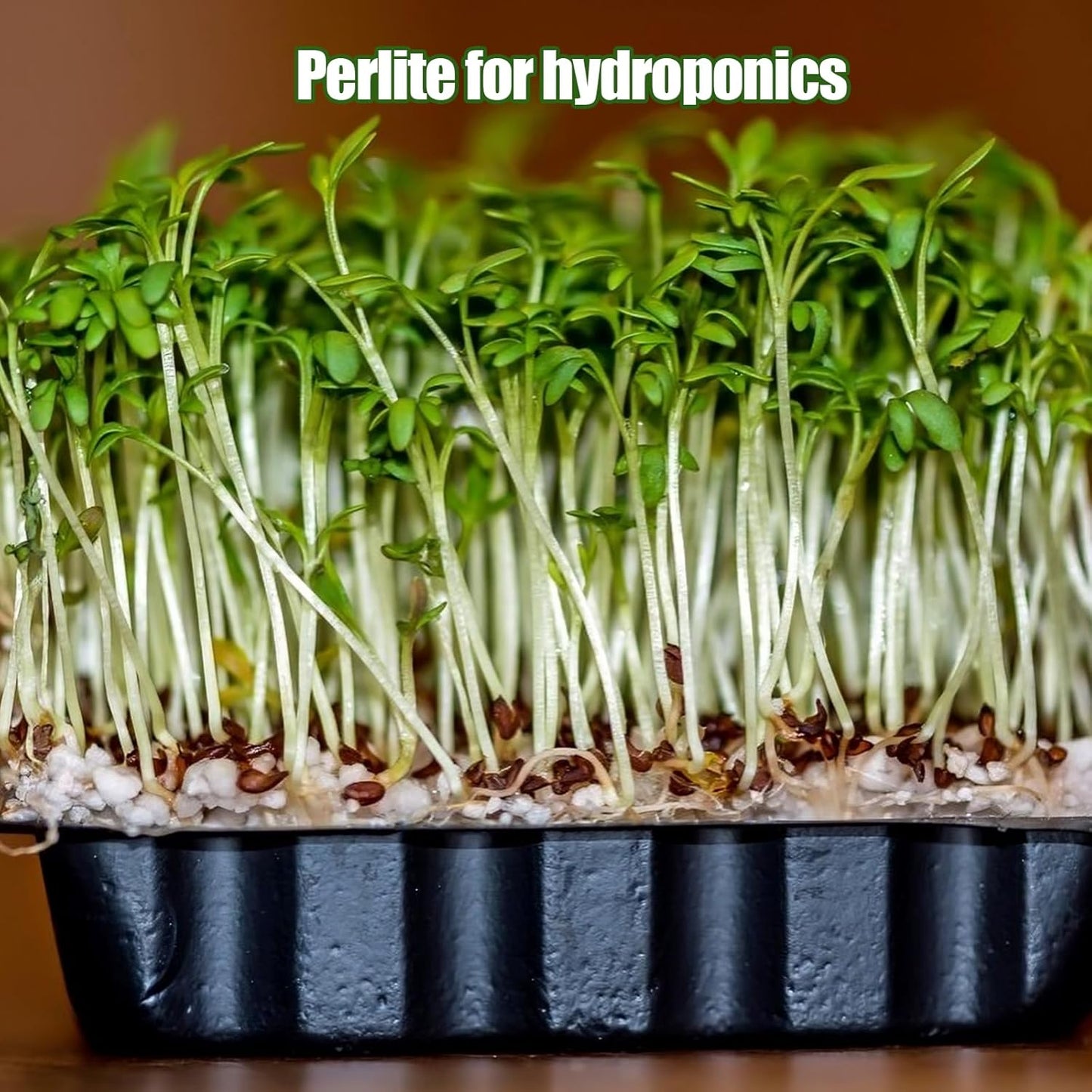 Horticultural Perlite for Plants 4qt, All Natural Horticultural Soil Additive Conditioner Mix, Improve Ventilation and Drainage, Enhance Soil Health and Root Growth