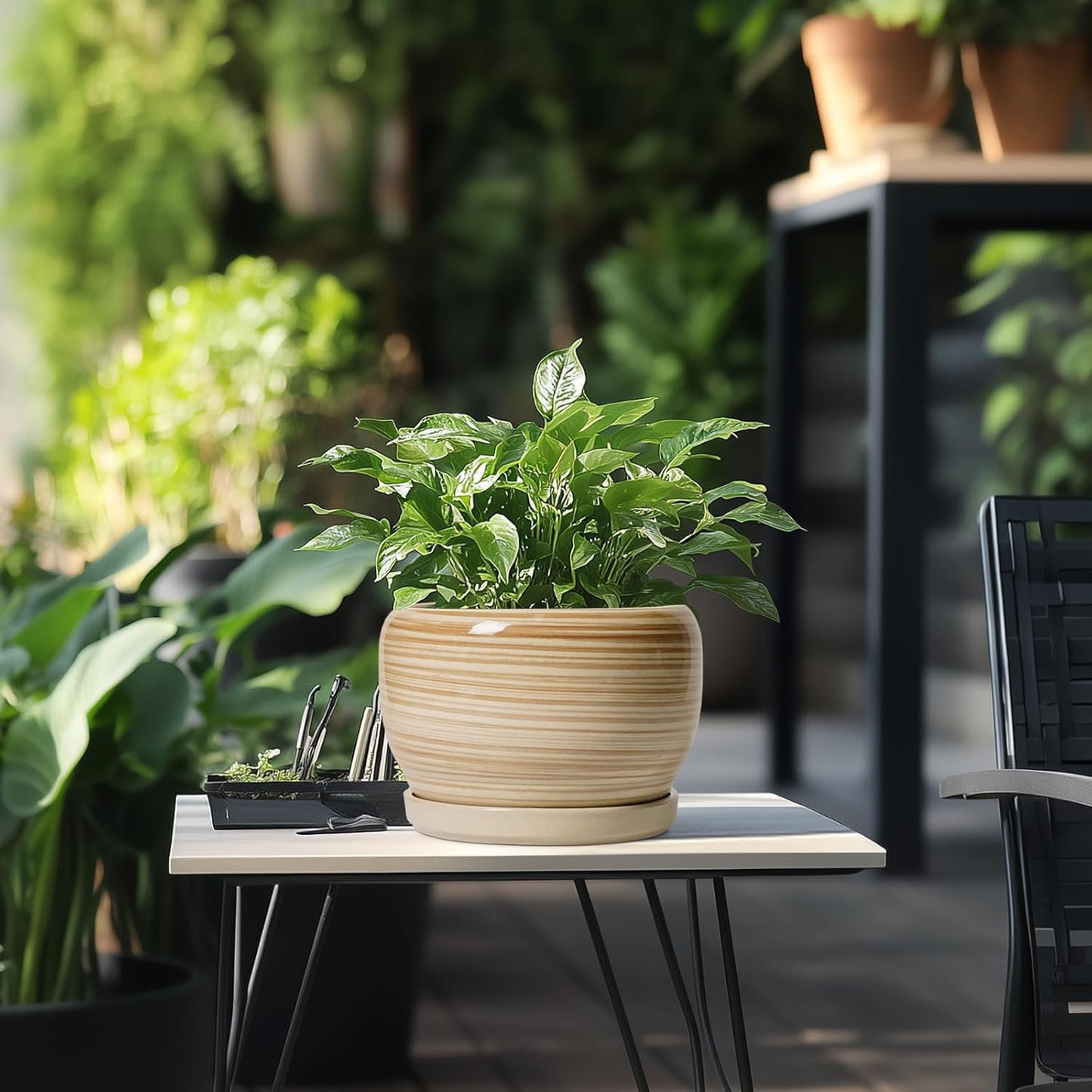 SQOWL Ceramic Planter- 8 Inch Plant Pot Indoor Outdoor, Round Planter with Drainage Hole and Plant Saucer, Decorative Modern Ceramic Flower Pot, Living Room Decor, Garden Gifts, Yellow