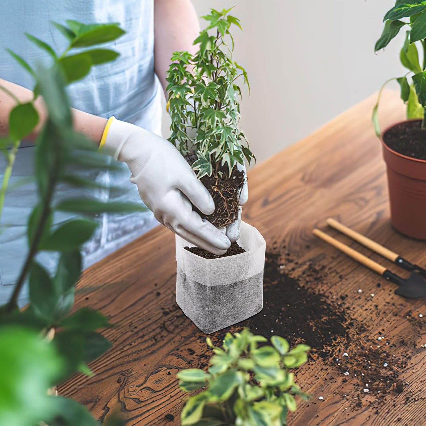 Augshy Nursery Growing Bags, 200Pcs Plant Grow Bags Non-Woven Fabric Seedling Pots Seedling Bags for Planting Seed Starting Pots Pouches for Vegetable Flower Fruit Saplings Tree (5.9" x 6.3")