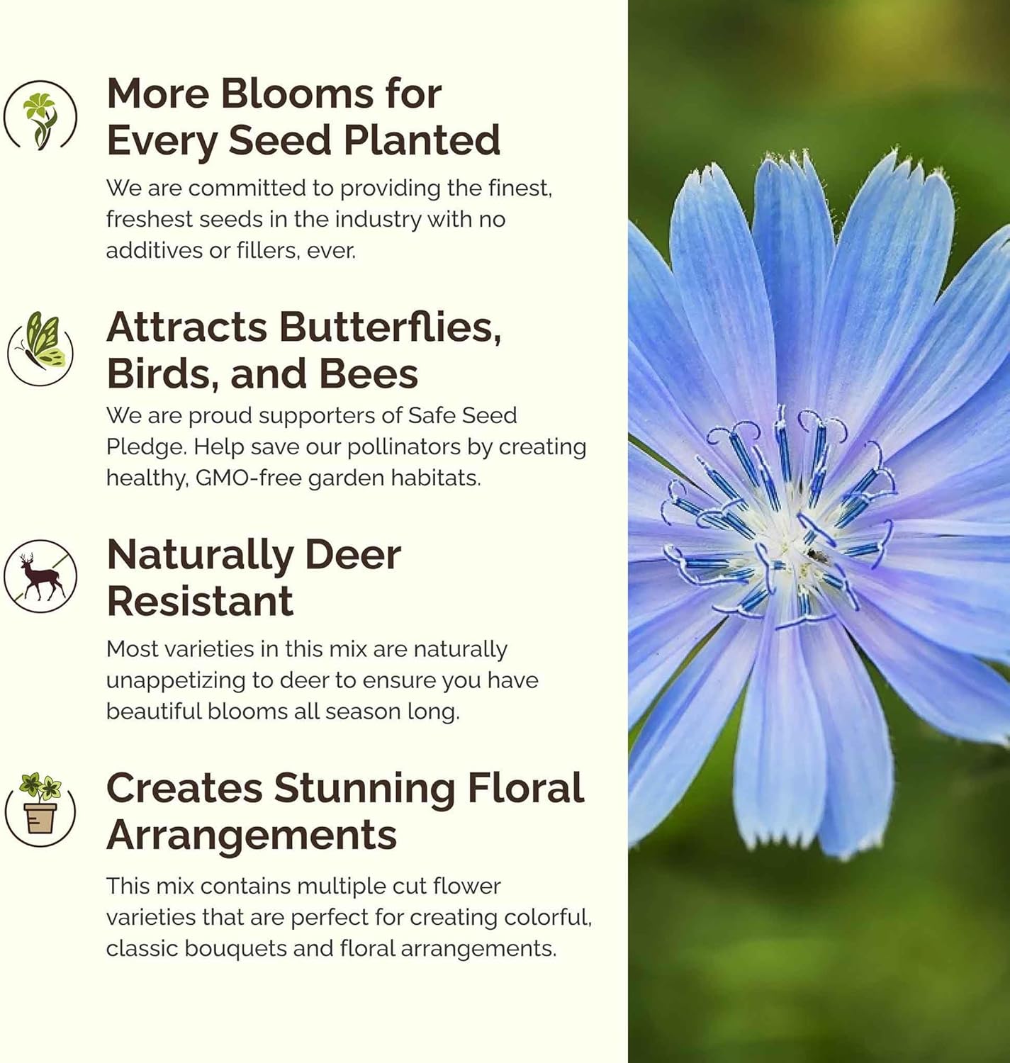 Eden Brothers Singin the Blues Wildflower Mixed Seeds for Planting, 1/4 lb, 120,000+ Seeds with Blue Flax, Lupine, Chicory, Attracts Pollinators, Plant in Spring or Fall, Zones 3, 4, 5, 6, 7, 8, 9, 10