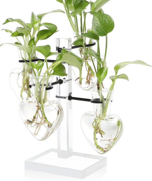 Clear Plants Propagation Stations Terrarium Kit Birthday Gift for Women for Indoor Home Office Decor Acrylic Plant Accessories - 4 Love Hear Vase
