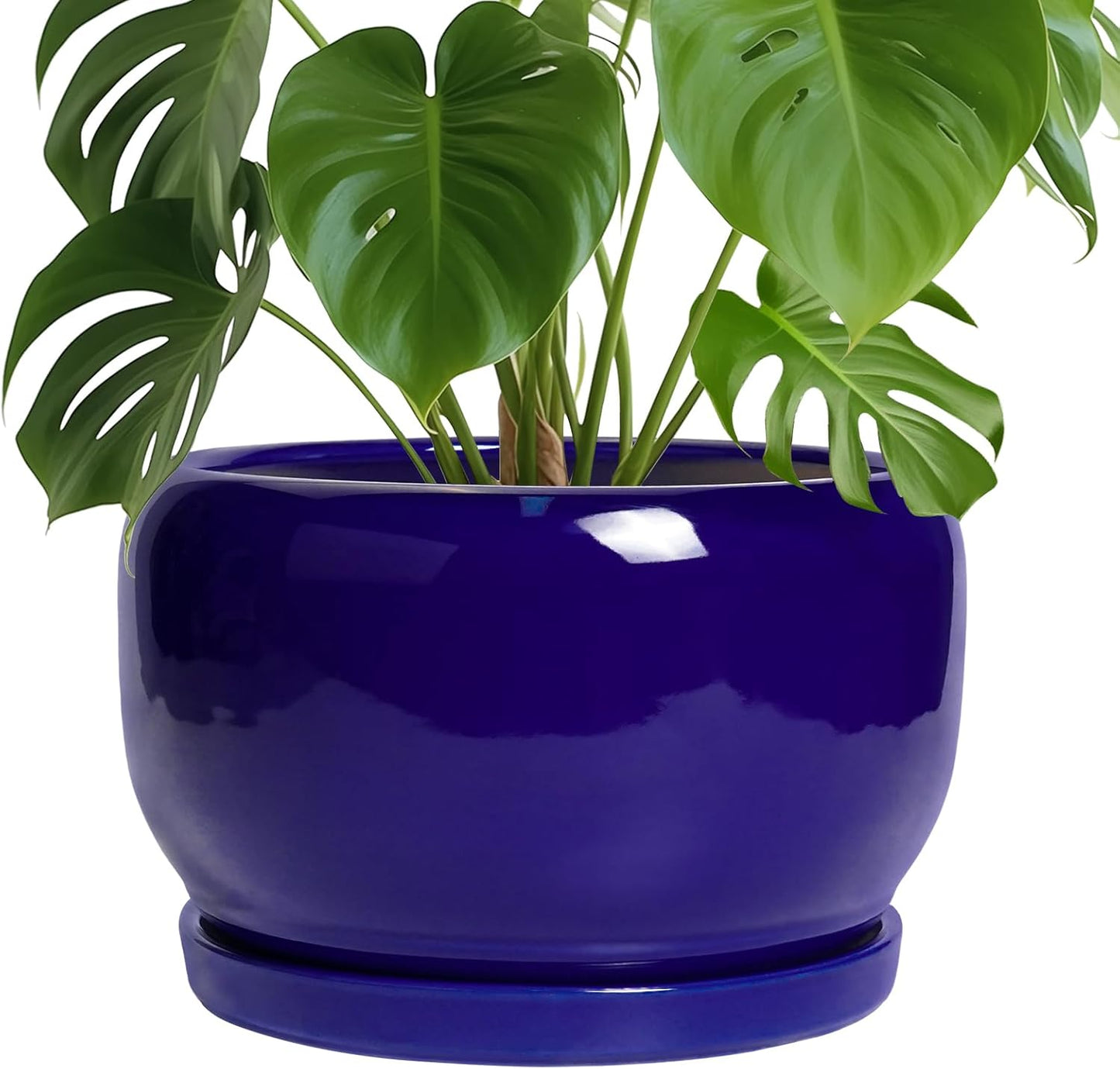 SQOWL Ceramic Plant Pot - 10 Inch Ceramic Planter for Indoor Outdoor, Round Flower Pot with Drainage Hole and Saucer, Modern Decorative Large Planter, Garden Decor, Plant Lover Gifts, Blue