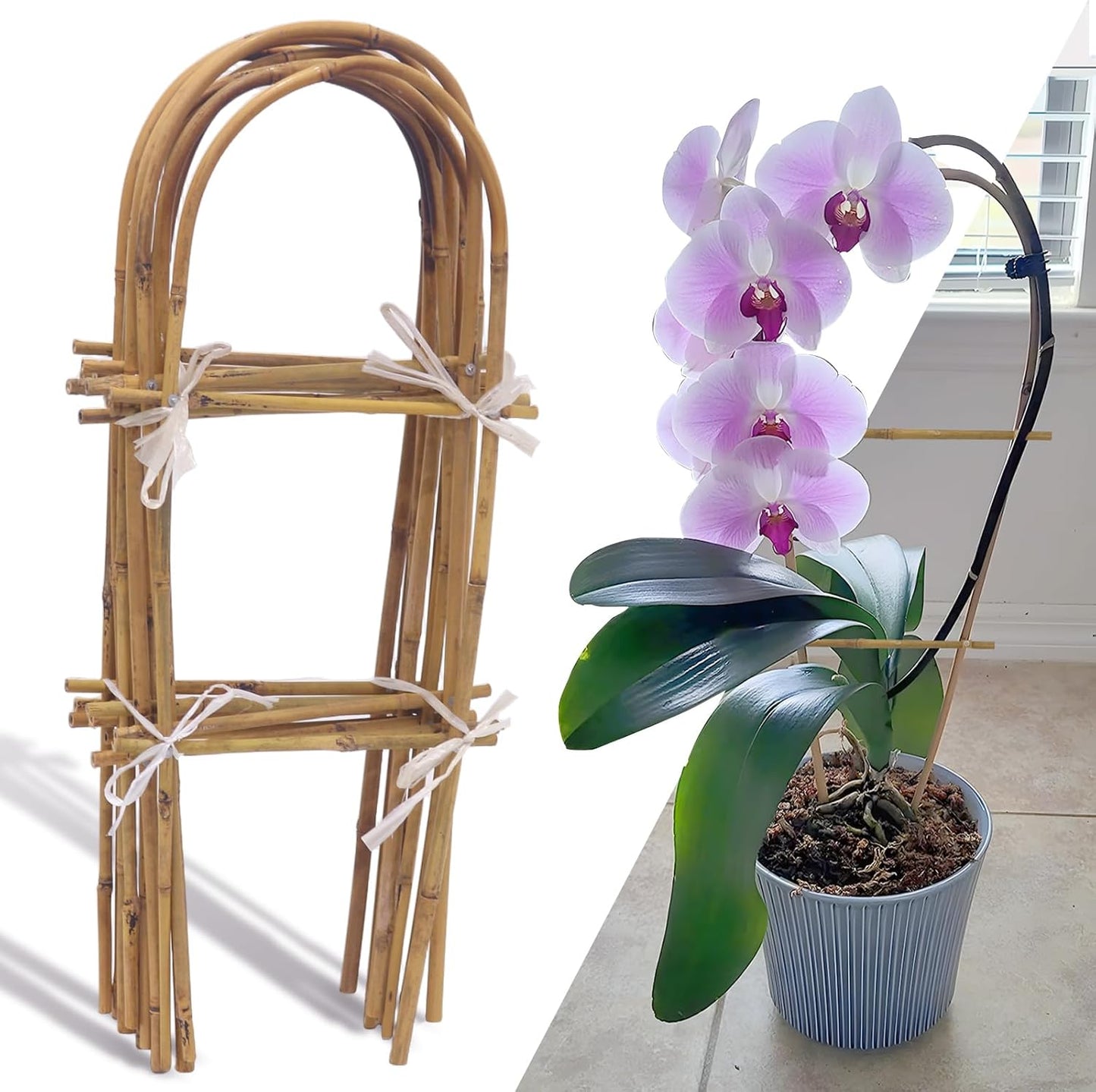 10 Pack 2ft U-Shape Bamboo Trellis for Climbing Plants, Natural Garden Trellis for Tomatoes, Cucumbers, Potted Plants, Vegetables Indoor Outdoor