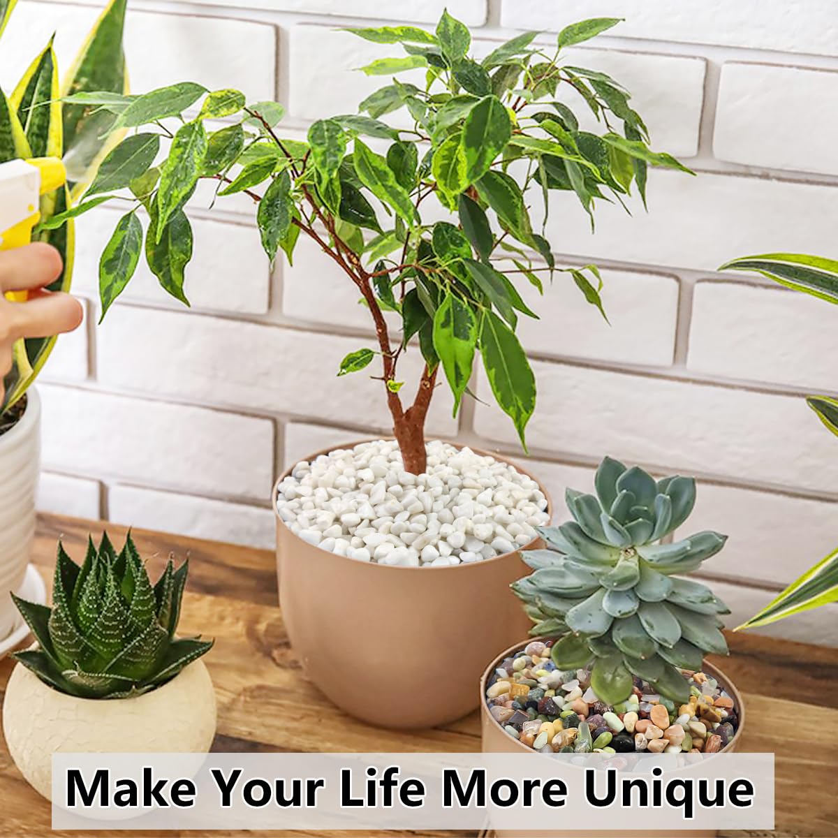 2LB Succulent and Cactus Gravel Pebbles, 3/8 Inch Natural Decorative Polished Stones, River Rocks for Plants, Vases, Aquariums, Terrarium and Outdoor Gardening, White