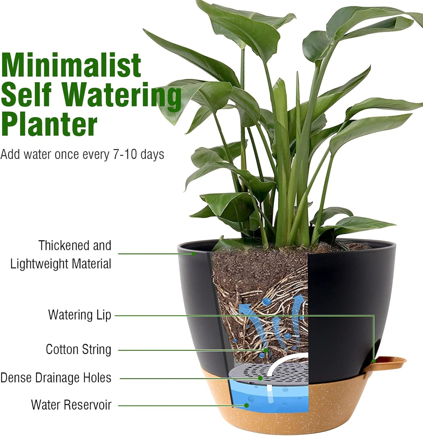 8 inch Self Watering Pots, 2 Pack Plastic Planters with Mesh Drainage Holes for Garden Plants and Flower, Plants Pots with Deep Reservoir for Indoor Outdoor Plants, Black with Brown