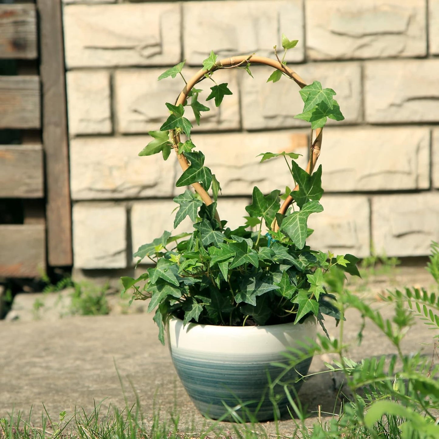 3Pack Bamboo Trellis 16 Inch Round Shaped Small Plant Trellis for Indoor Potted Plants Climbing Monstera Orchid Vine Hoya Houseplant