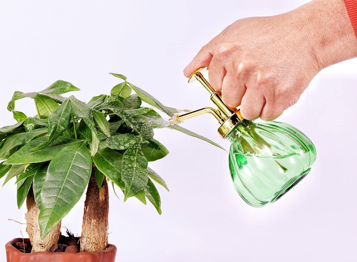 Glass Plant Mister Spray Bottle, 6.5" Green Glass Water Spray Bottle with Gold Top Pump Small Watering Can, Small Plant Sprayer Mister for Indoor Outdoor House, Green+Gold (Green+Gold C)