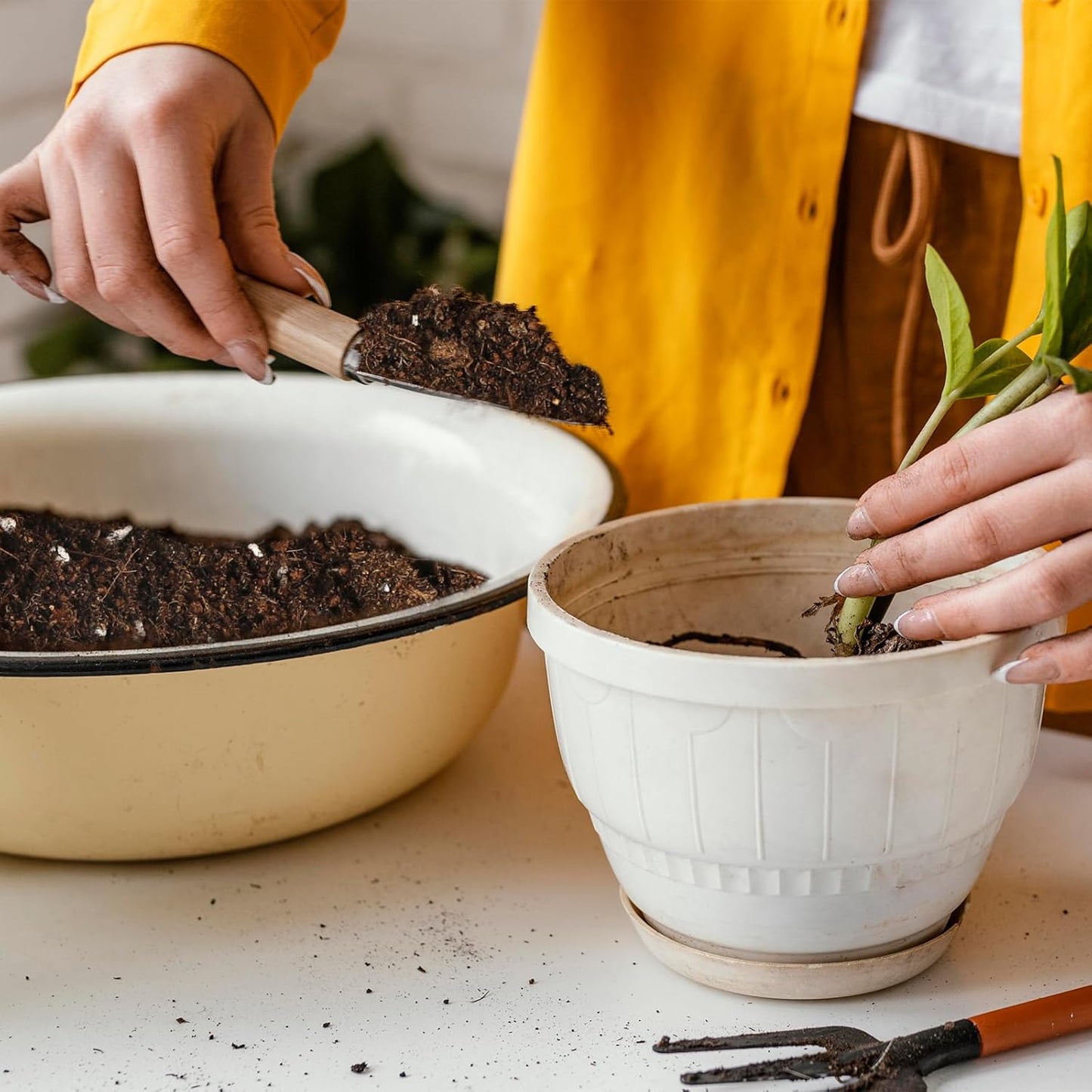 Potting Soil Mix 1qt for Indoor Plants, Organic Houseplant Soil Well Draining Dirt Ready to Use, Fit for House Plant Like Pothos, Philodendron, Monstera, African Violet