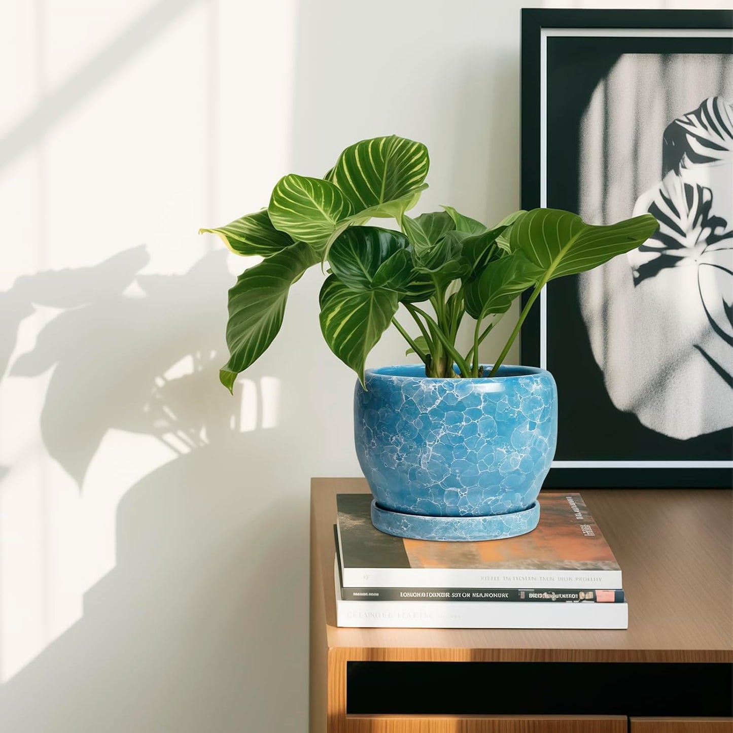 SQOWL 6 Inch Plant Pot - Ceramic Indoor Planter with Drainage Hole and Saucer, Decorative Ceramic Flower Pot Outdoor, Round Succulent Planter, Home Office Room Decor, Gifts for Plant Lovers, Blue