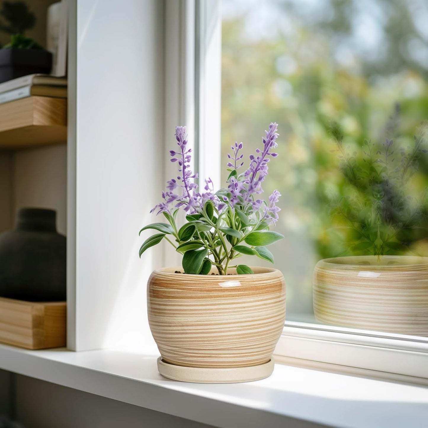 SQOWL Ceramic Pot for Plants - 6 Inch Indoor Planter with Drainage Hole and Tray, Round Modern Flower Pot Outdoor, Decorative Succulent Planter, Kitchen Decor, Gifts for Plant Lovers, Yellow